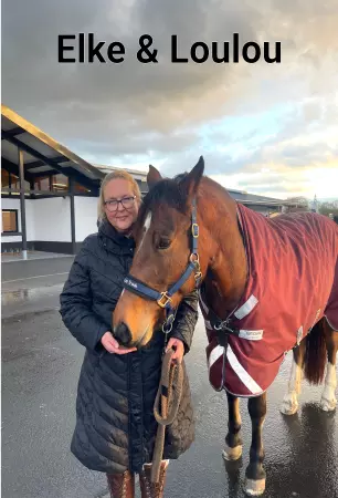 Pferde Elke & Loulou Bild